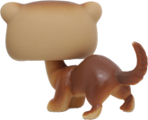 #0209 Ferret